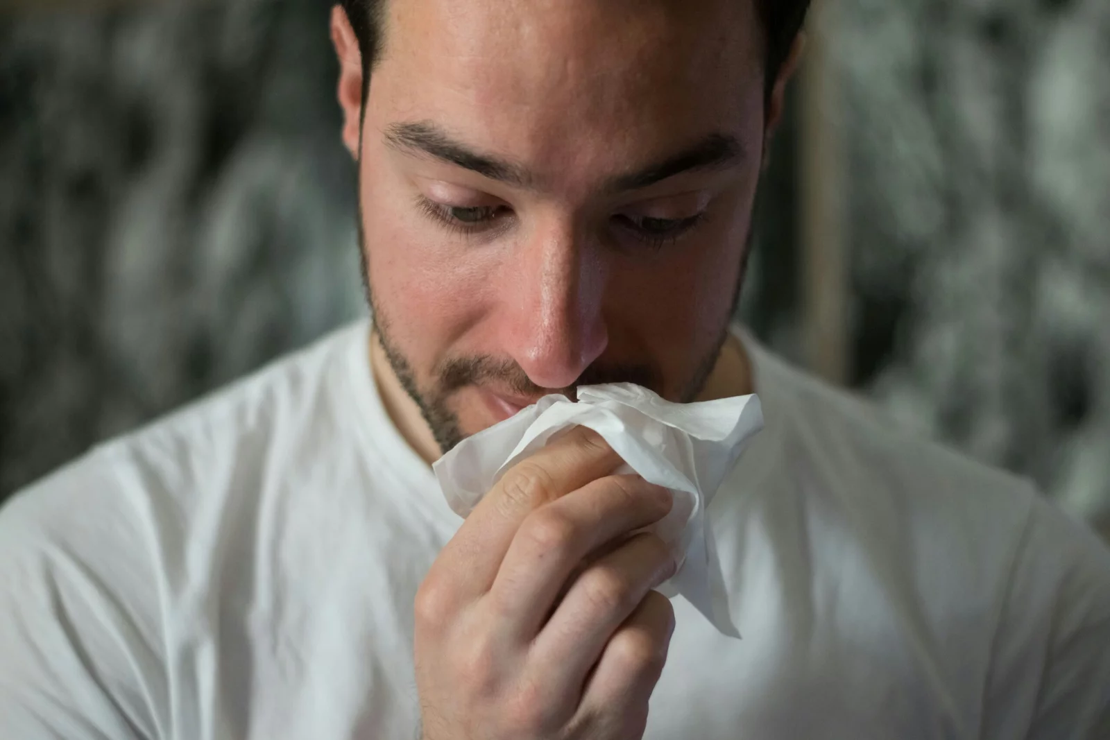 runny nose remedies