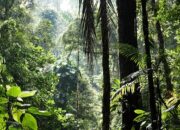 The Human Impact on Biodiversity: Unveiling the Consequences