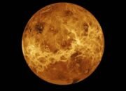 The Orbital and Rotational Periods of Venus
