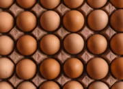 Understanding the Incubation Period for Chicken Eggs