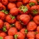 A Guide to Growing Strawberries in Pots