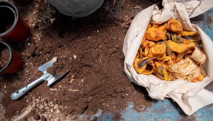 Transform Your Trash: A Beginner’s Guide to Starting a Compost Pile