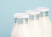 The Art and Science of Pasteurizing Milk: A Comprehensive Guide for Safe and Delicious Dairy