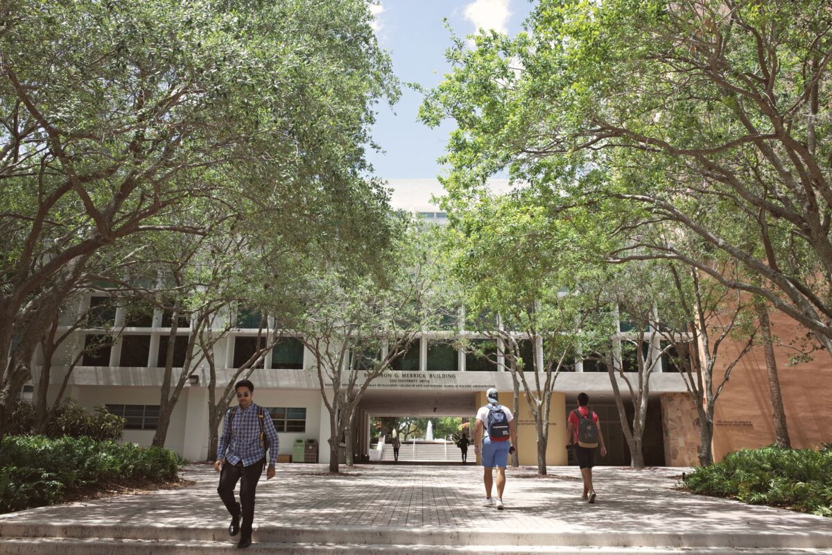Illustration of Best College Majors for ROI and High-Paying Careers