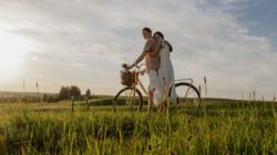 Breaking Toxic Relationship Cycles: A Path to Emotional Healing