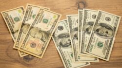 College vs Trade School Salary: Who Really Ends Up Ahead?