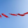 Company Red Flags: Toxic Culture Warning Signs