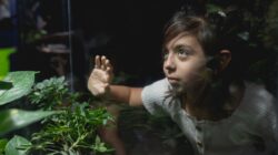 Why things children notice fast will blow your mind — Featured image