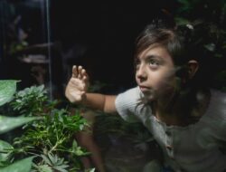 Why things children notice fast will blow your mind