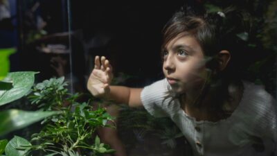 Why things children notice fast will blow your mind — Featured image