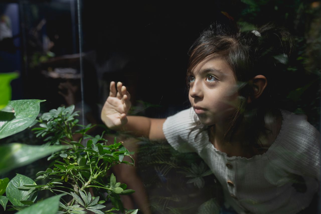 Why things children notice fast will blow your mind — Featured image
