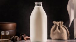 Are cow milk benefits worth it for your healthy diet lifestyle?
